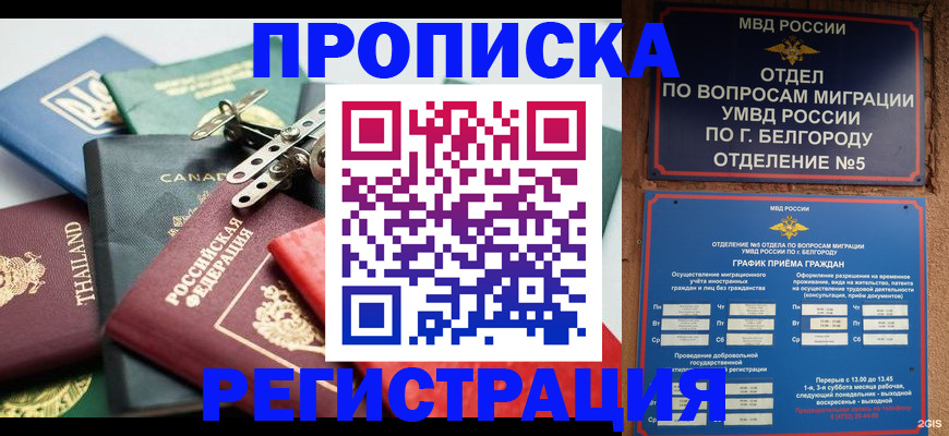 временная регистрация недорого в Железногорск-Илимском